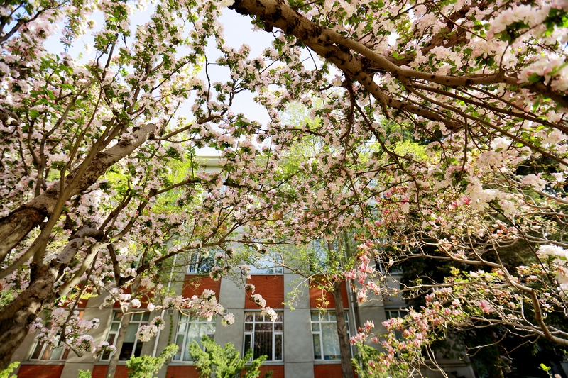 首页- yl永利集团中国区官方网站