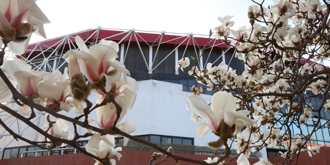 首页- yl永利集团中国区官方网站