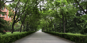 首页- yl永利集团中国区官方网站