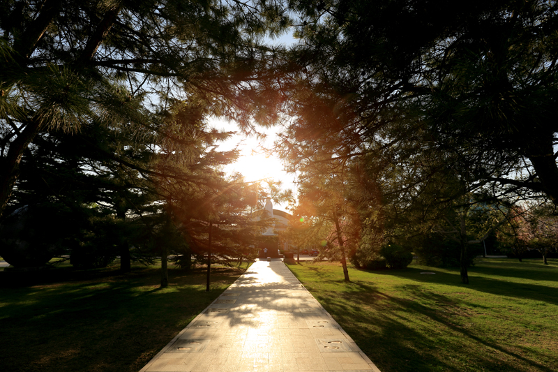 首页- yl永利集团中国区官方网站