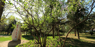 首页- yl永利集团中国区官方网站