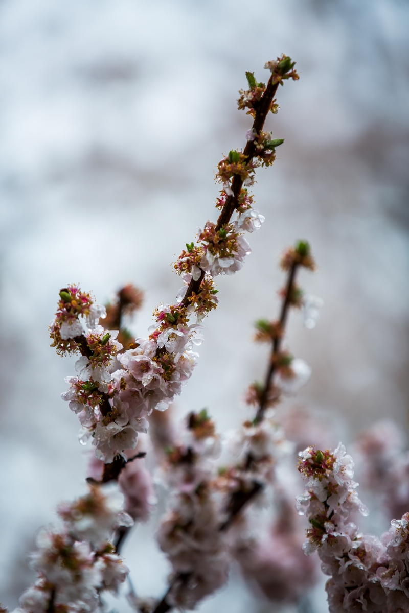 首页- yl永利集团中国区官方网站