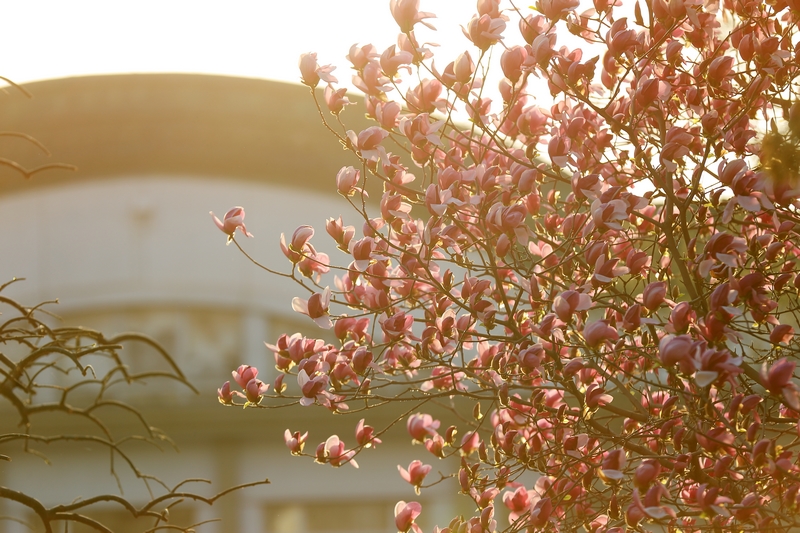 首页- yl永利集团中国区官方网站