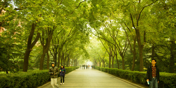 首页- yl永利集团中国区官方网站