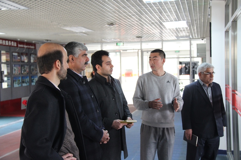 首页- yl永利集团中国区官方网站