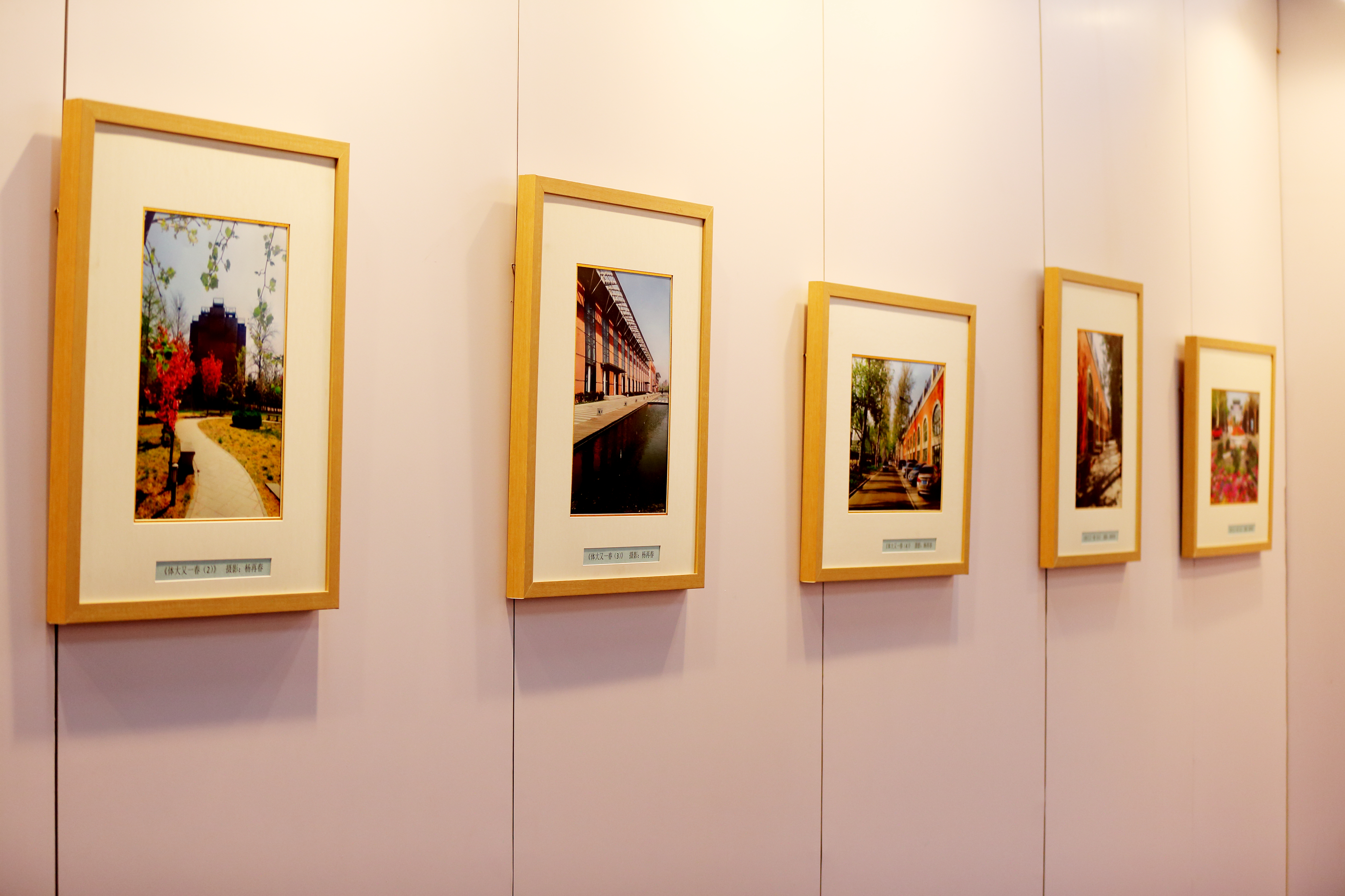 首页- yl永利集团中国区官方网站