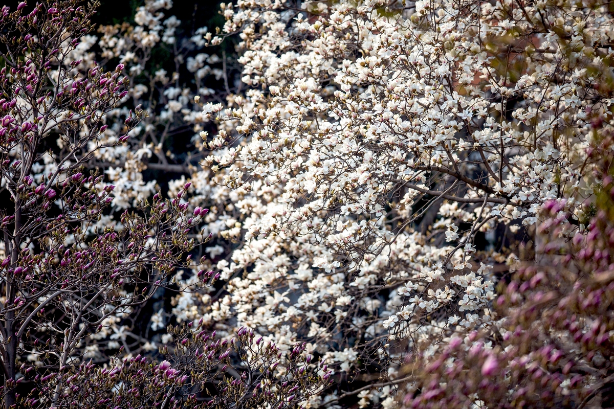 首页- yl永利集团中国区官方网站