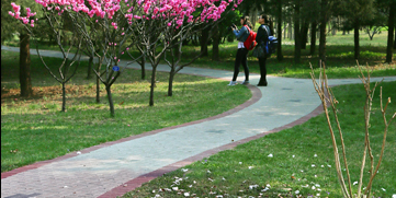 首页- yl永利集团中国区官方网站