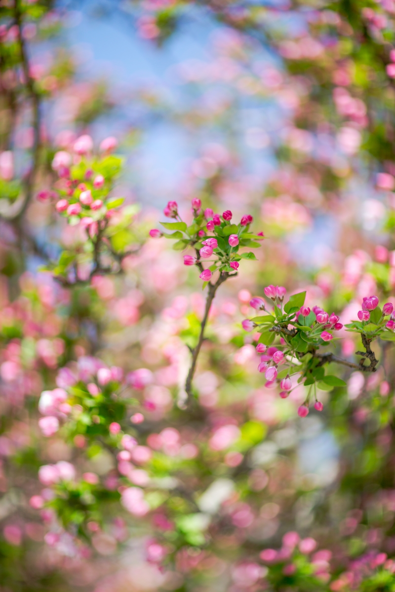 首页- yl永利集团中国区官方网站