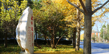 首页- yl永利集团中国区官方网站