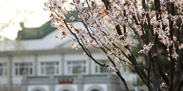 首页- yl永利集团中国区官方网站