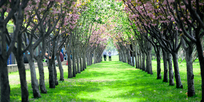 首页- yl永利集团中国区官方网站