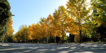 首页- yl永利集团中国区官方网站