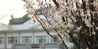 首页- yl永利集团中国区官方网站