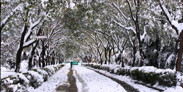 首页- yl永利集团中国区官方网站