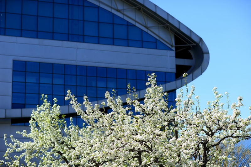 首页- yl永利集团中国区官方网站