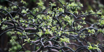 首页- yl永利集团中国区官方网站