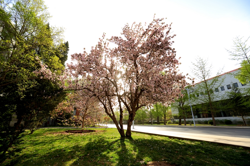 首页- yl永利集团中国区官方网站