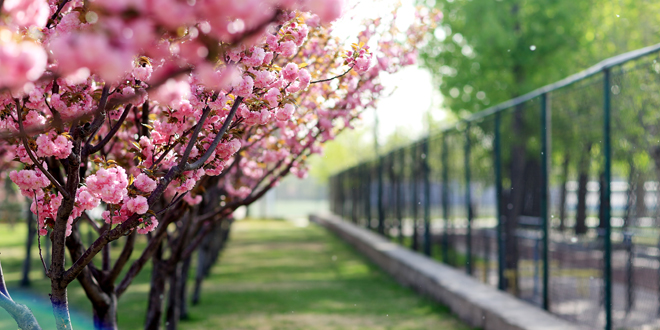 首页- yl永利集团中国区官方网站