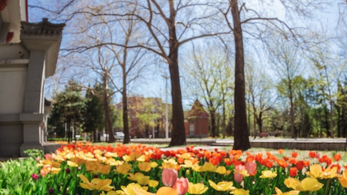 首页- yl永利集团中国区官方网站