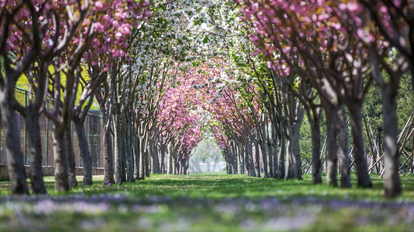 首页- yl永利集团中国区官方网站