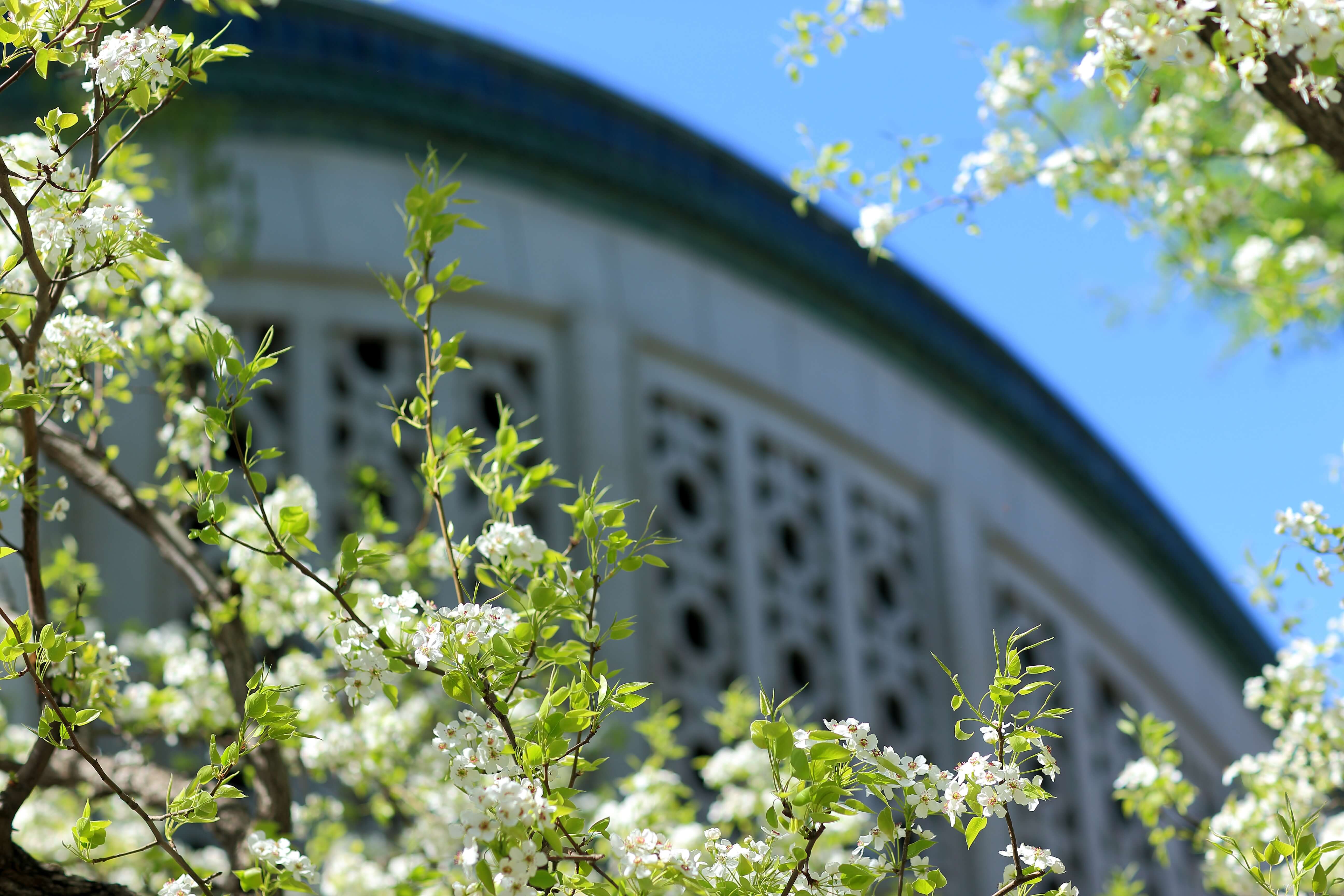 首页- yl永利集团中国区官方网站