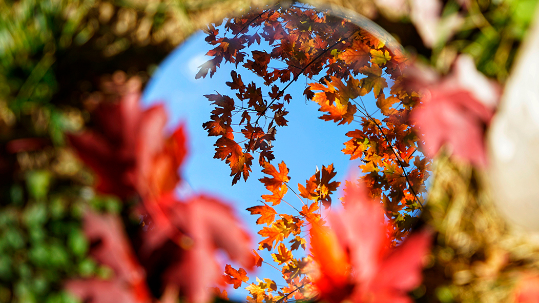 首页- yl永利集团中国区官方网站