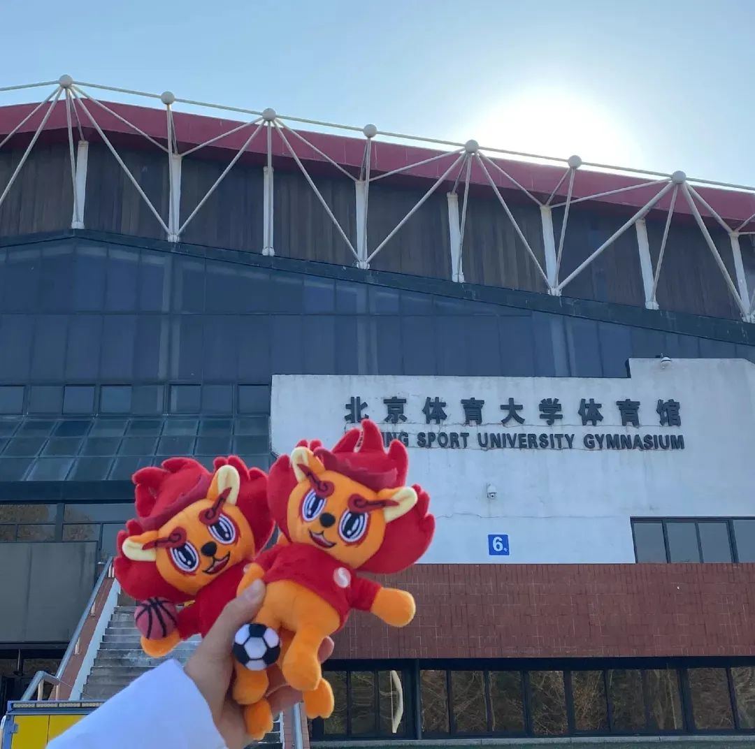 首页- yl永利集团中国区官方网站