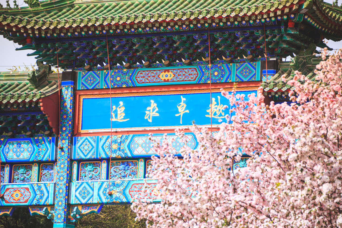 首页- yl永利集团中国区官方网站