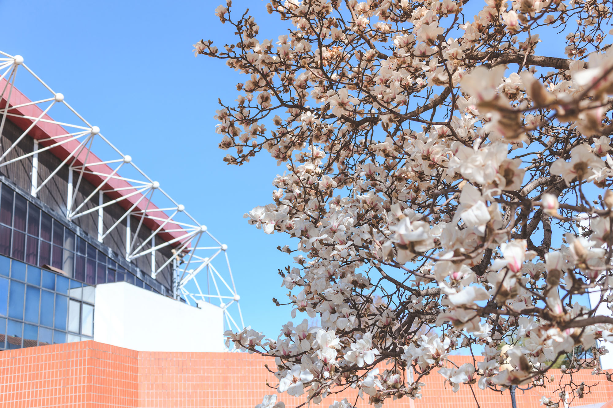 首页- yl永利集团中国区官方网站